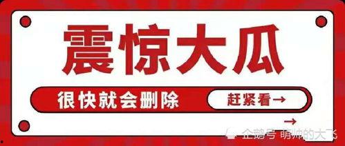 八卦娱乐圈吃瓜账号,揭秘明星幕后故事,带你领略娱乐圈风云变幻
